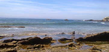South Coast-20150429-01084